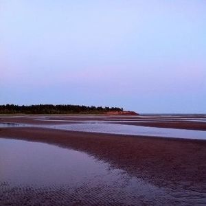 Meet your Posher, Sandy